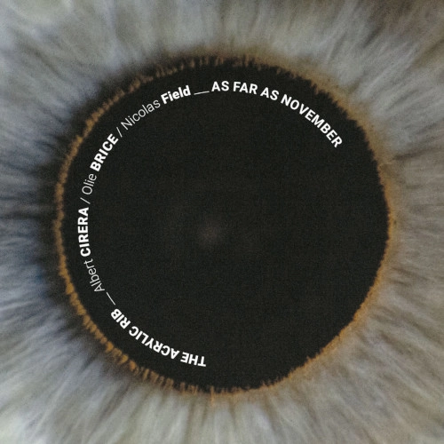 ACRYLIC RIB / AS FAR AS NOVEMBER W/ALBERT CIRERA, OLIE BRICE, NICOLAS FIELD