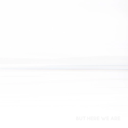 FOO FIGHTERS / フー・ファイターズ / BUT HERE WE ARE (CD) / BUT HERE WE ARE