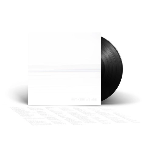 FOO FIGHTERS / フー・ファイターズ / BUT HERE WE ARE (VINYL)