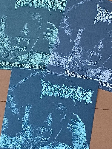 SECOND TO NONE (JPN) / LightsembraceEvilskiss( orange flexi）