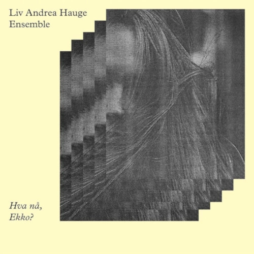 LIV ANDREA HAUGE / HVA NA, EKKO? (LP)