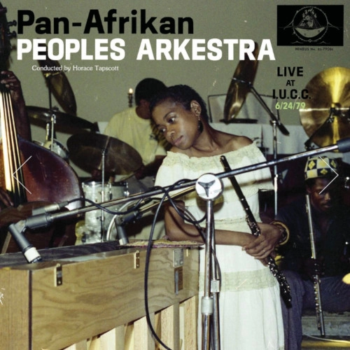 PAN AFRICAN PEOPLES ARKESTRA / パン・アフリカン・ピープルズ・アーケストラ / LIVE AT IUCC 6/24/79
