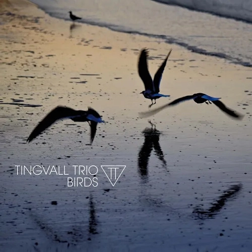 TINGVALL TRIO / ティングヴァル・トリオ / BIRDS (LP)