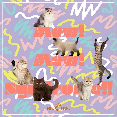 MEWCATUNE / Mew!Mew! Symdrome!!
