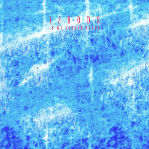 12RODS / IF WE STAYED ALIVE (LP)
