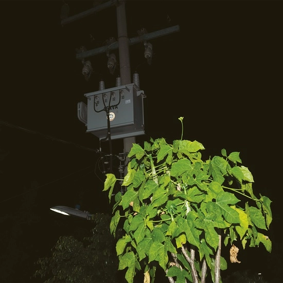 GIUSEPPE IELASI / ジュゼッペ・イエラシ / DOWN ON DARKENED MEETINGS