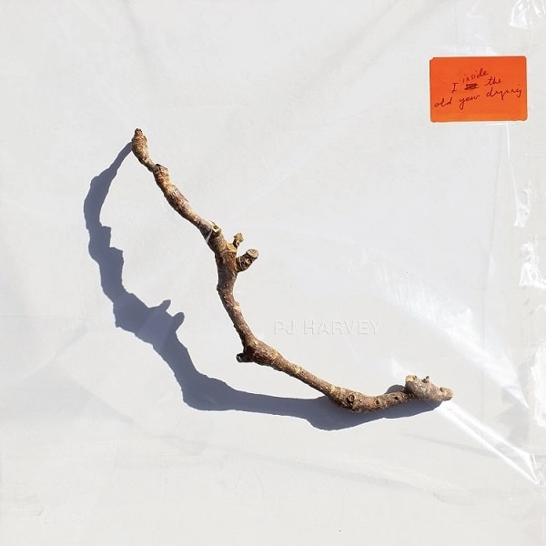 PJ HARVEY / PJ ハーヴェイ / I INSIDE THE OLD YEAR DYING (CD)