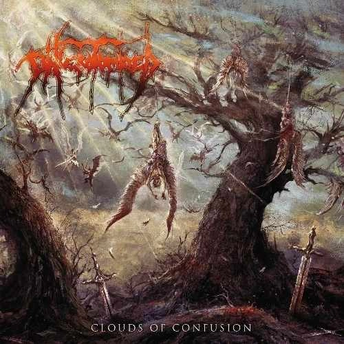 PHLEBOTOMIZED / CLOUDS OF CONFUSION