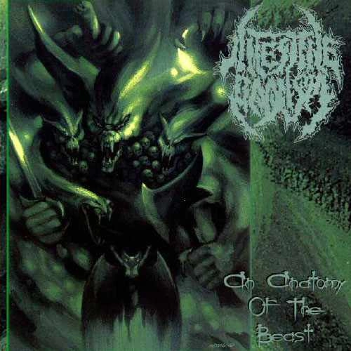 INTESTINE BAALISM / AN ANATOMY OF THE BEAST