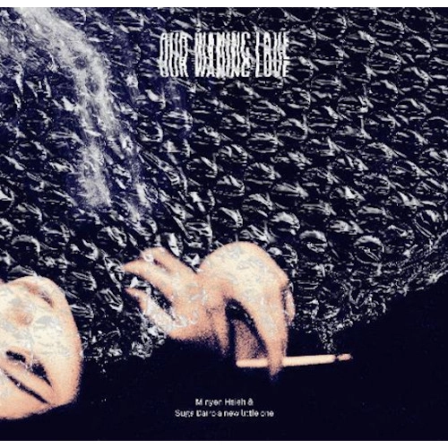 Minyen Hsieh & Suga Dairo a new little one / 謝明諺&スガ・ダイロー a new little one / Our Waning Love