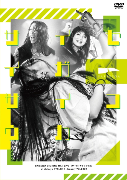 SAISEIGA / サイセイガ / SAISEIGA 2nd ONE MAN LIVE [サイセイガサイコウカ] DVD / SAISEIGA 2nd ONE MAN LIVE DVD
