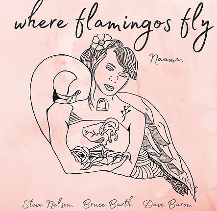 NAAMA GHEBER / ナーマ・ゲーバー / WHERE FLAMINGOS FLY