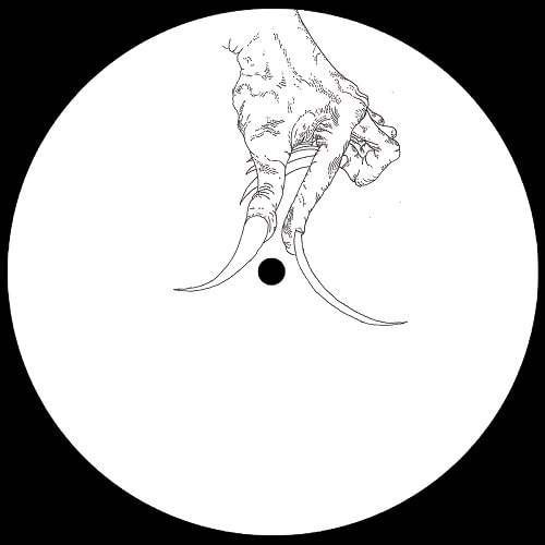 PIEZO / ODD HOOKS
