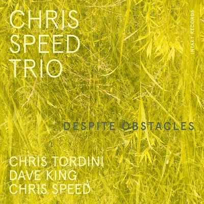 CHRIS SPEED / クリス・スピード / DESPITE OBSTACLES