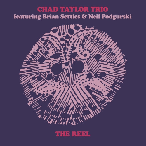 CHAD TAYLOR / チャド・テイラー / THE REEL
