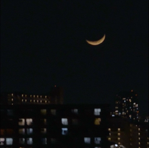WAGATSUMA / わがつま / 街 / 本当のこと