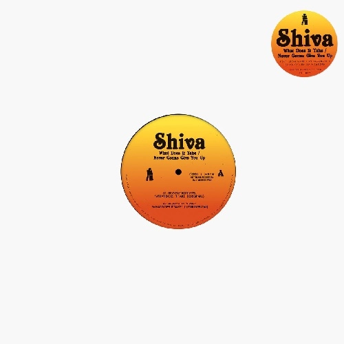SHIVA(DISCO) / WHAT DOES IT TAKE (FEAT. LEON WARE)