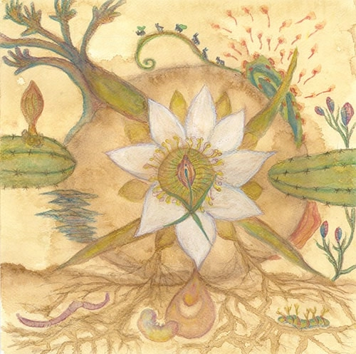 MARKANDEYA / JOAQUIN CORNEJO / VISION VERSIONS