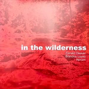 GERALD CLEAVER / ジェラルド・クリーヴァー / IN THE WILDERNESS
