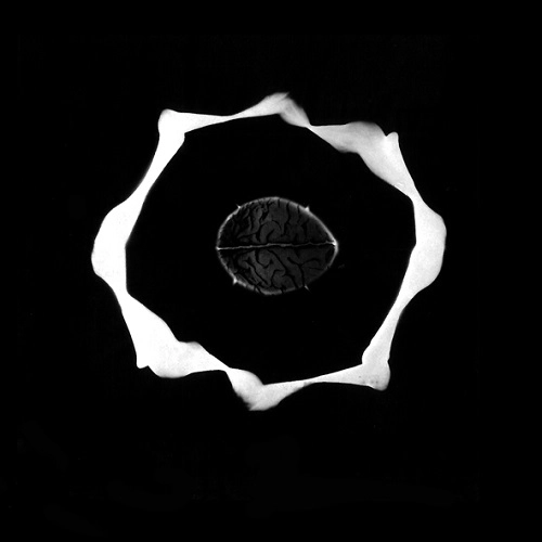 EPIDERMIS / GENIUS OF THE ORIGINAL FORCE: LIMITED VINYL