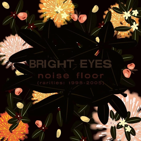 BRIGHT EYES / ブライト・アイズ / ノイズ･フロア（レアリティーズ：1998-2005）