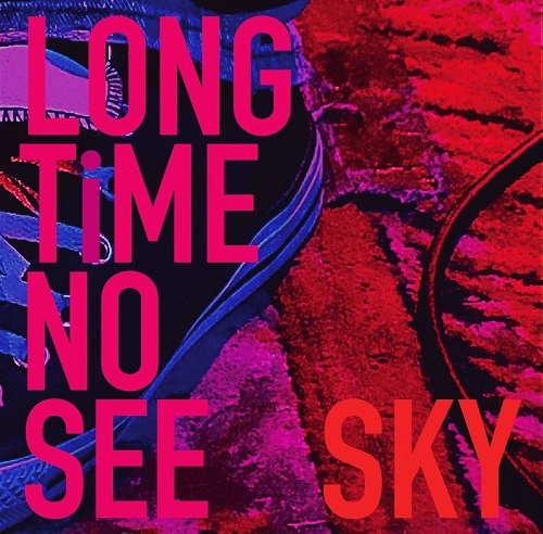 SKY (JPN) / LONG TiME NO SEE