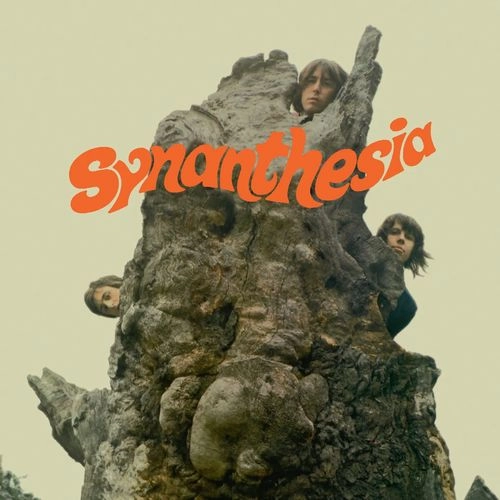 SYNANTHESIA / シナンセシア / SYNANTHESIA (LP)