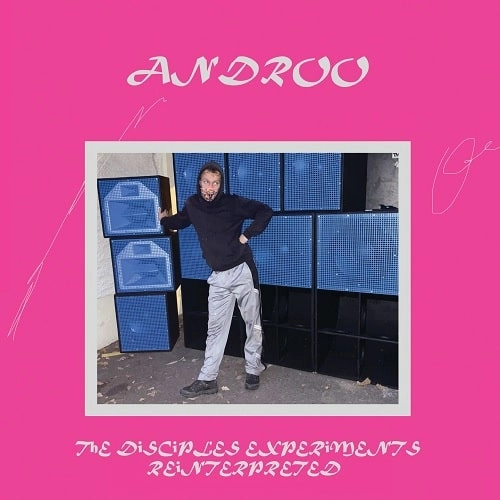 ANDROO / DISCIPLES EXPERIMENTS REINTERPRETED