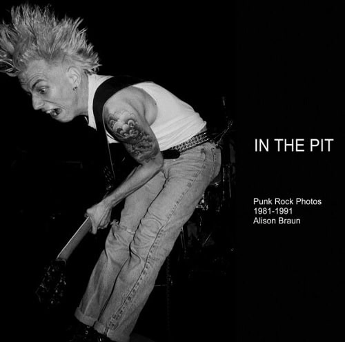 Alison Braun / IN THE PIT (BOOK/3rd Press)