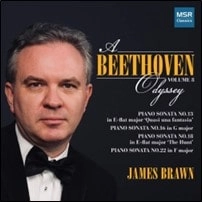 JAMES BRAWN / ジェイムズ・ブローン / BEETHOVEN ODYSSEY VOL.8