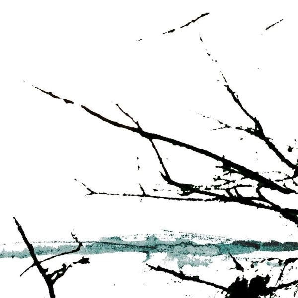 TENHI / VARE