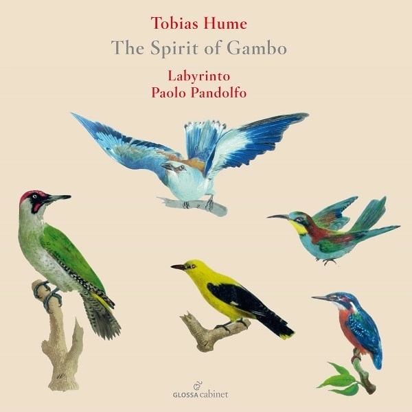 PAOLO PANDOLFO / パオロ・パンドルフォ / HUME:THE SPIRIT OF GAMBO
