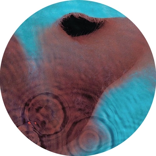 PINK FLOYD / ピンク・フロイド / MEDDLE SLIPMAT