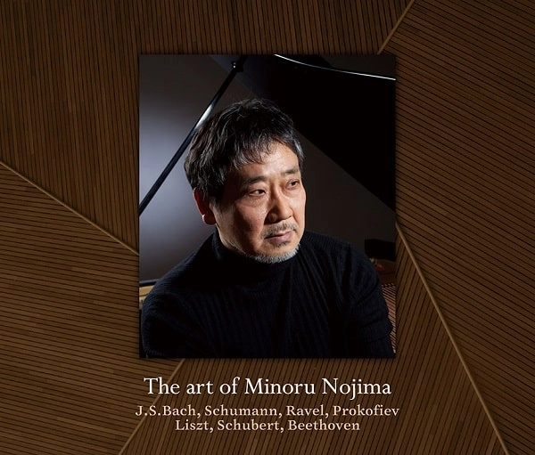 MINORU NOJIMA / 野島稔  / 野島稔の芸術