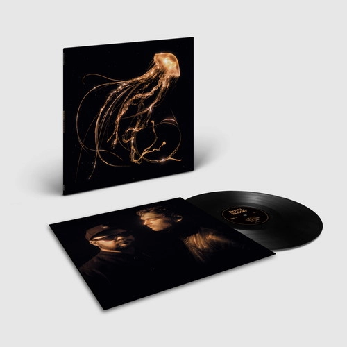 ROYAL BLOOD / ロイヤル・ブラッド / BACK TO THE WATER BELOW [VINYL]