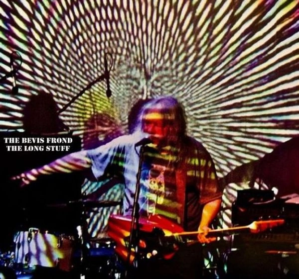 BEVIS FROND / ベヴィス・フロンド / THE LONG STUFF (CD)