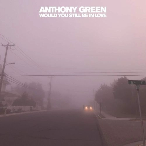ANTHONY GREEN / アンソニーグリーン / WOULD YOU STILL BE IN LOVE [VINYL]
