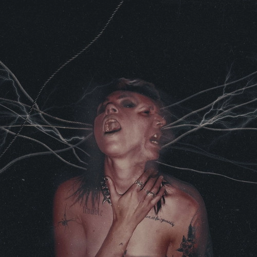 HOT MILK / ホット・ミルク / A CALL TO THE VOID (CD) / A CALL TO THE VOID