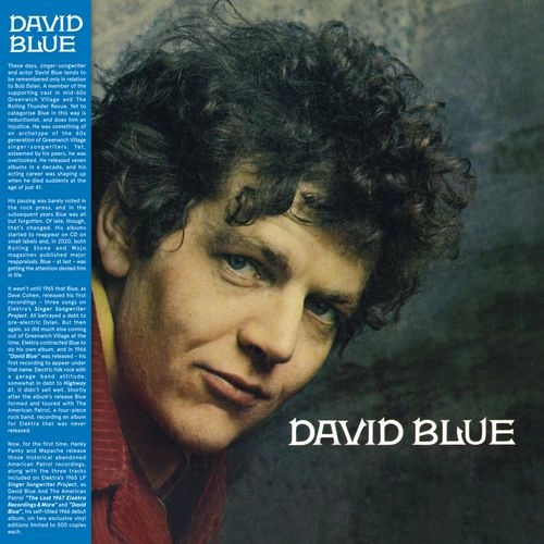 DAVID BLUE / デヴィッド・ブルー / DAVID BLUE (LP) / DAVID BLUE