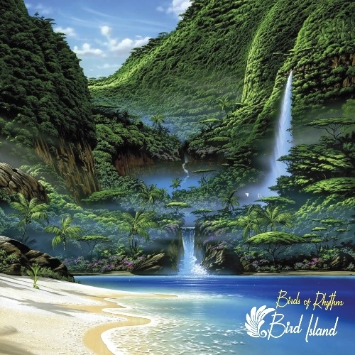 BIRDS OF RHYTHM / BIRD ISLAND