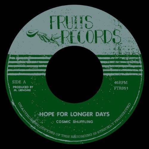 COSMIC SHUFFLING / HOPE FOR LONGER DAYS / ZODIAC