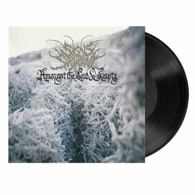 SIGNS OF THE SWARM / サインズ・オブ・ザ・スウォーム / AMONGST THE LOW & EMPTY<BLACK VINYL>