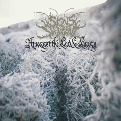 SIGNS OF THE SWARM / サインズ・オブ・ザ・スウォーム / AMONGST THE LOW & EMPTY