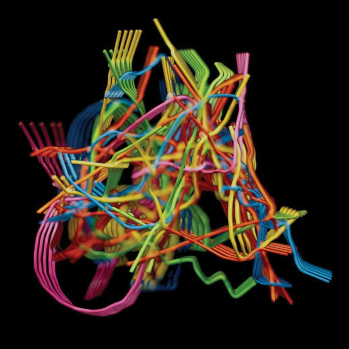 DUSTIN WONG / ダスティン・ウォン / PERPETUAL MORPHOSIS (CD)
