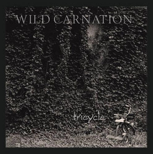 WILD CARNATION / ワイルド・カーネーション / TRICYCLE -COLOURED-