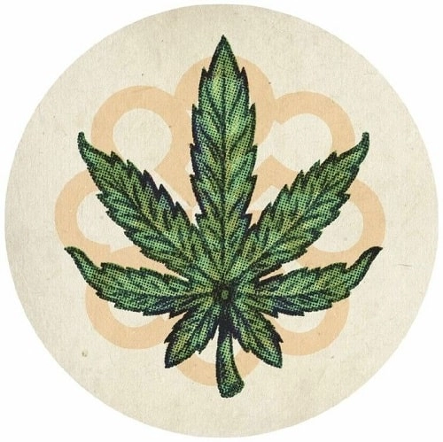 COYOTE / ROLO MCGINTY / MARIJUANA