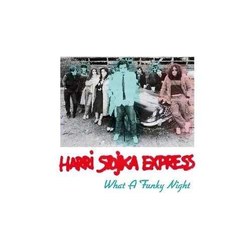 HARRI STOJKA EXPRESS / WHAT A FUNKY NIGHT