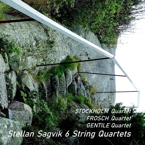 VARIOUS ARTISTS (CLASSIC) / オムニバス (CLASSIC) / SAGVIK:6 STRING QUARTETS