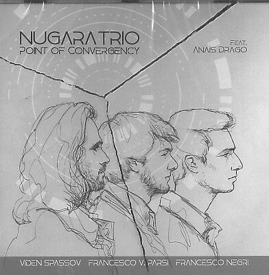 NUGARA TRIO / Point of Convergency