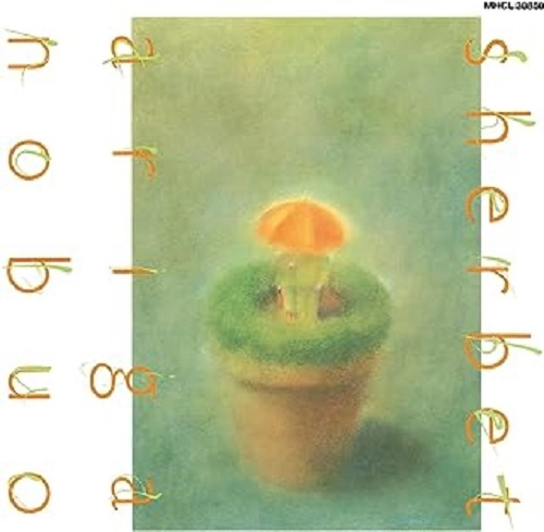 NOBUO ARIGA / 有賀啓雄 / sherbet